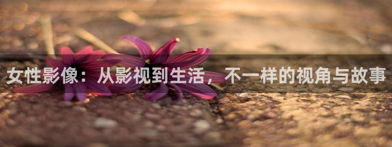 樱花影院电视在线观看：女性影像：从影视到生活，不一样的视角与故事
